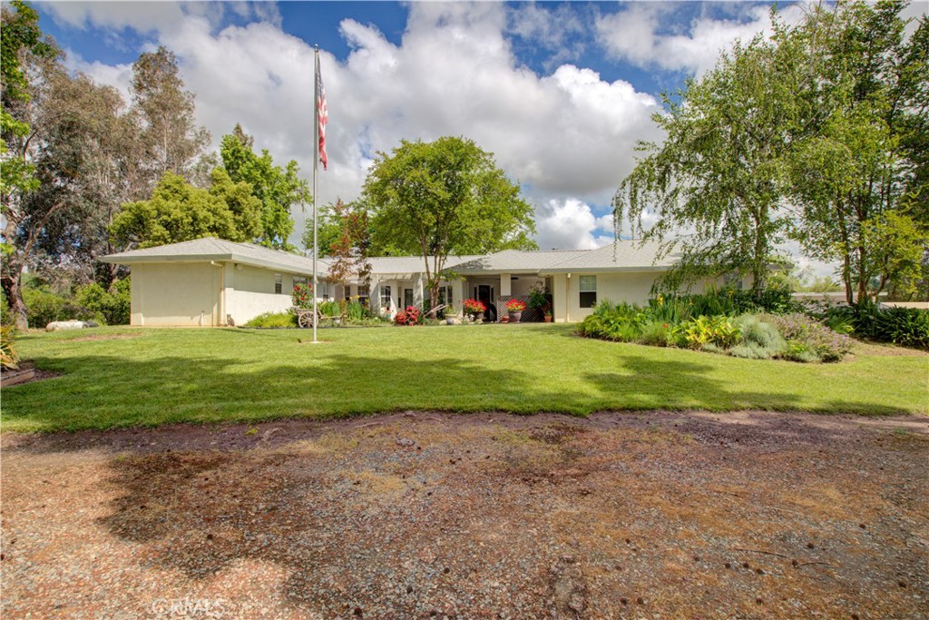 a view of house with garden and tall trees