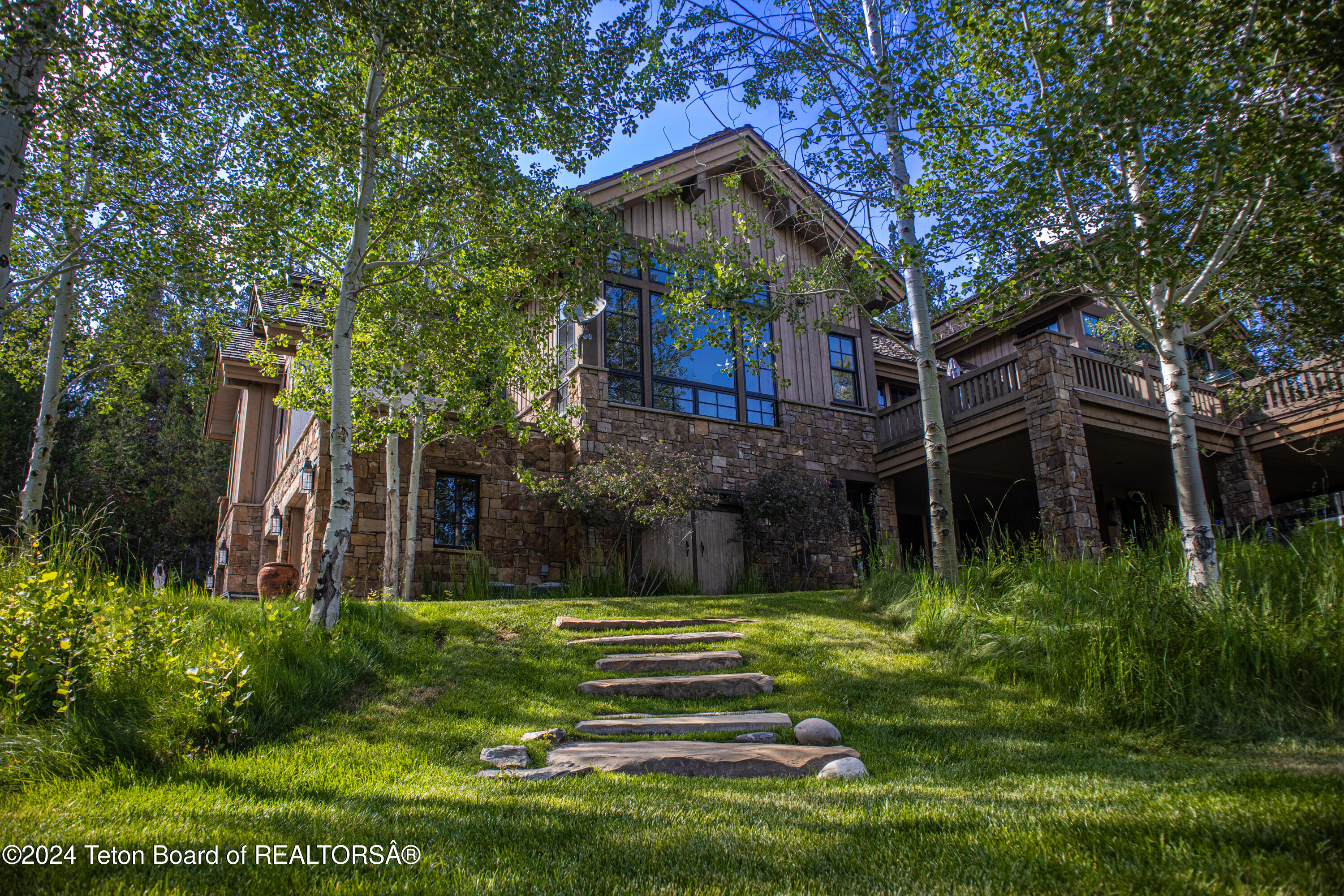 7. Aspens & Front Yard