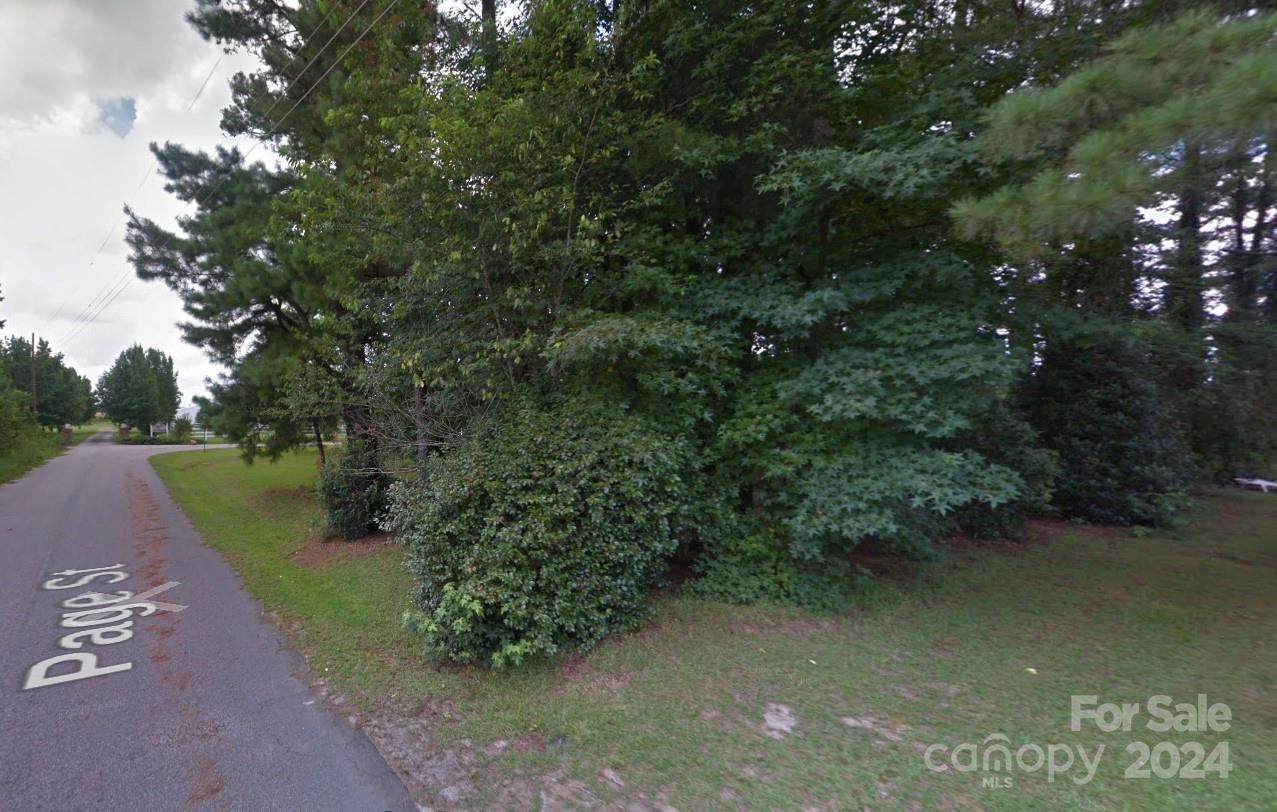 a view of a street with a tree