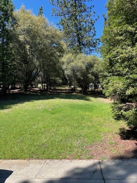 a view of yard with green space and trees in the background