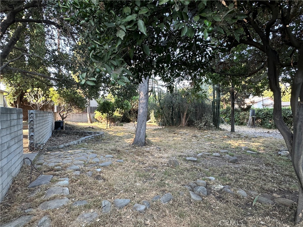 a backyard of a house with lots of green space