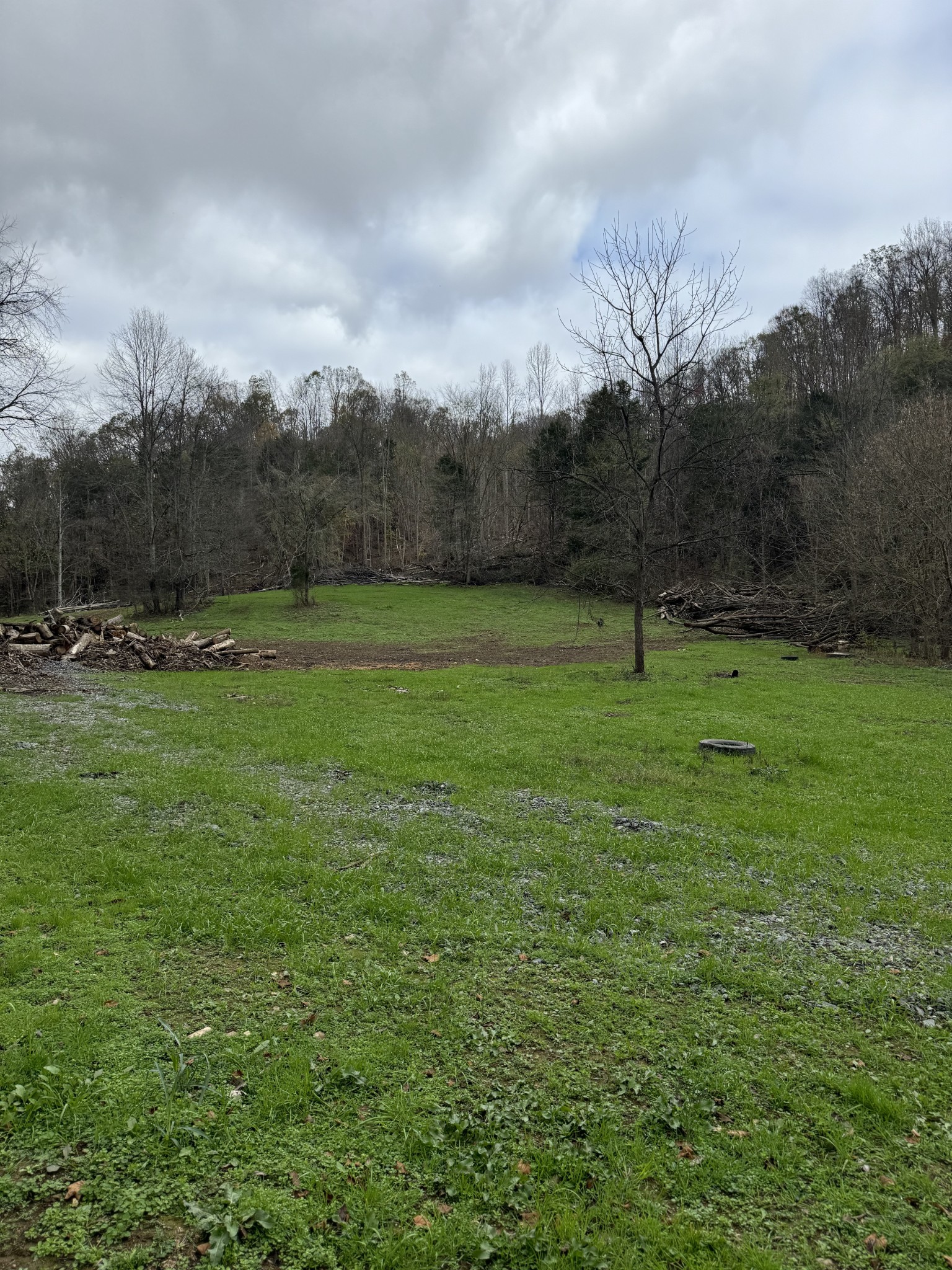 a view of outdoor space with green field and trees all around