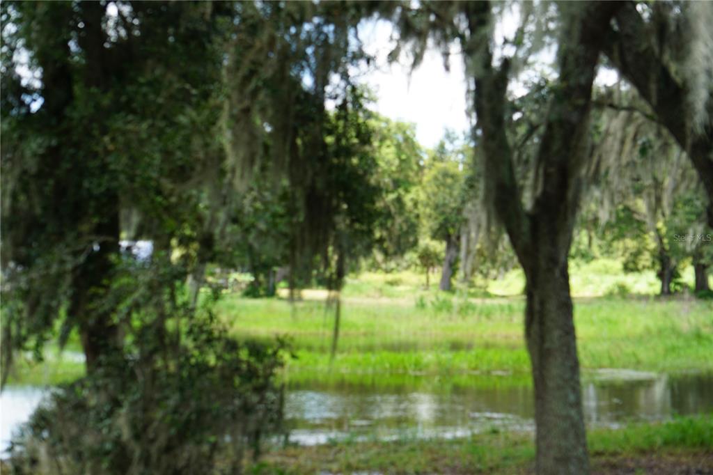 a view of backyard with green space