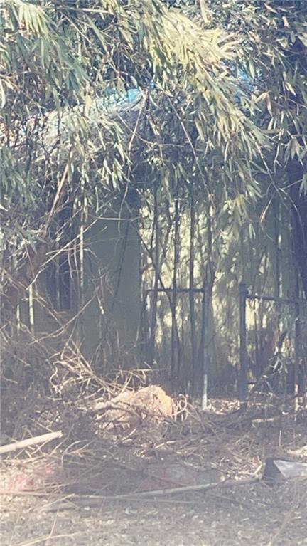 a view of a yard with trees