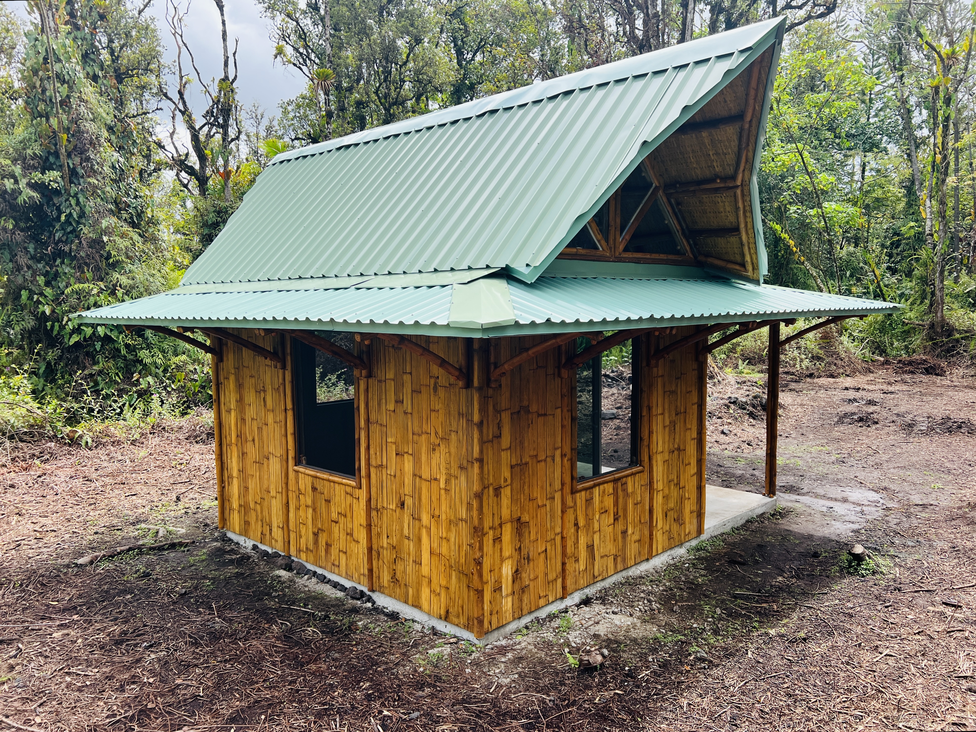 a view of a small house under large tree