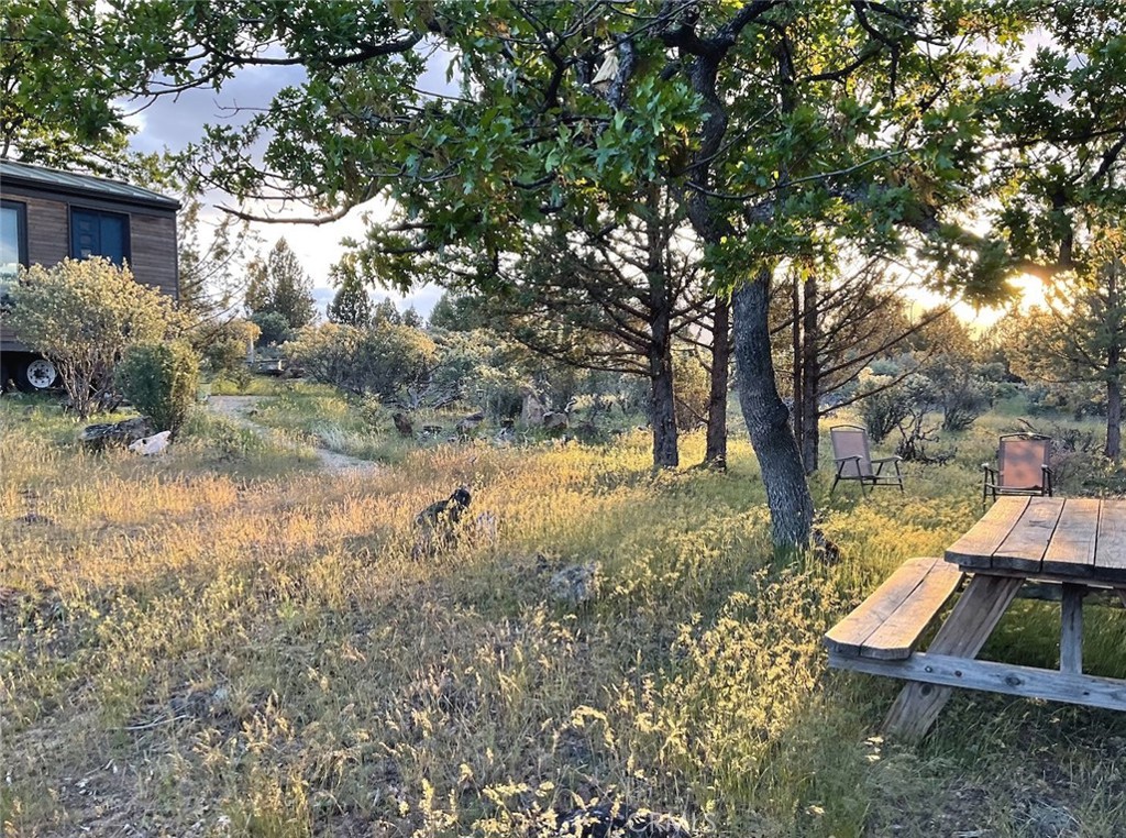 a view of backyard with wooden fence and a bench