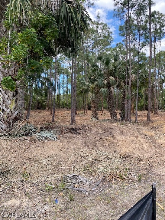 a view of a backyard with large trees