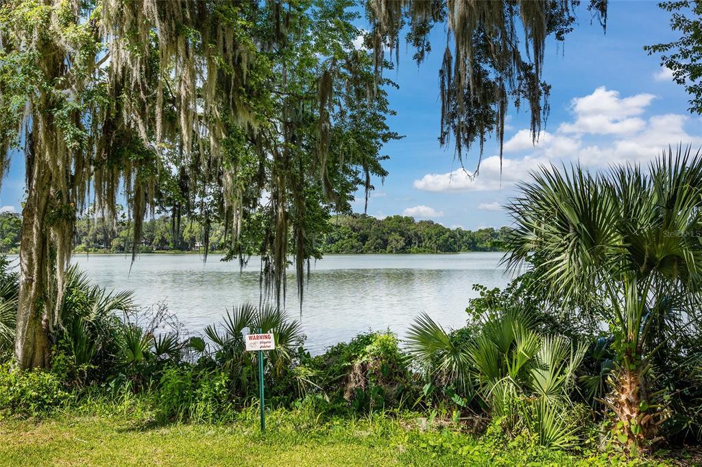 a view of a lake