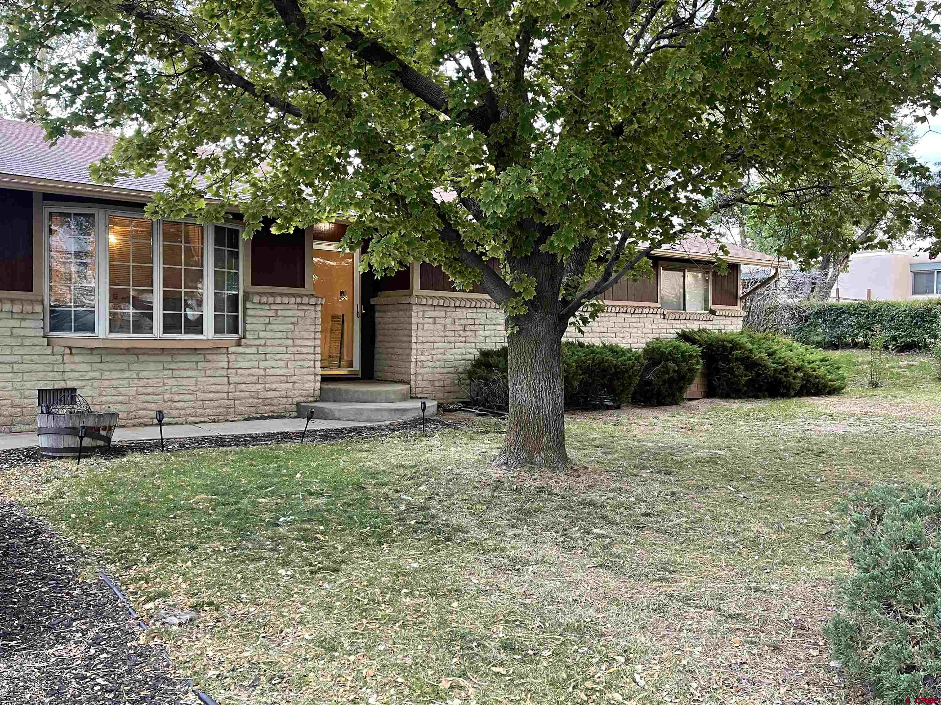 a tree in front of a house next to a large tree