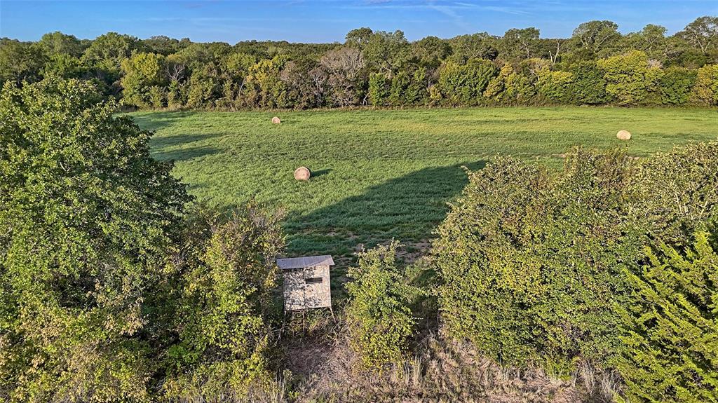 a view of a field with an trees