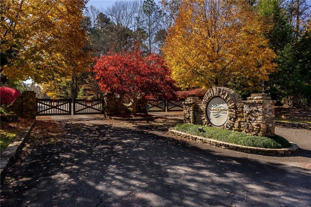 a view of a park with large trees