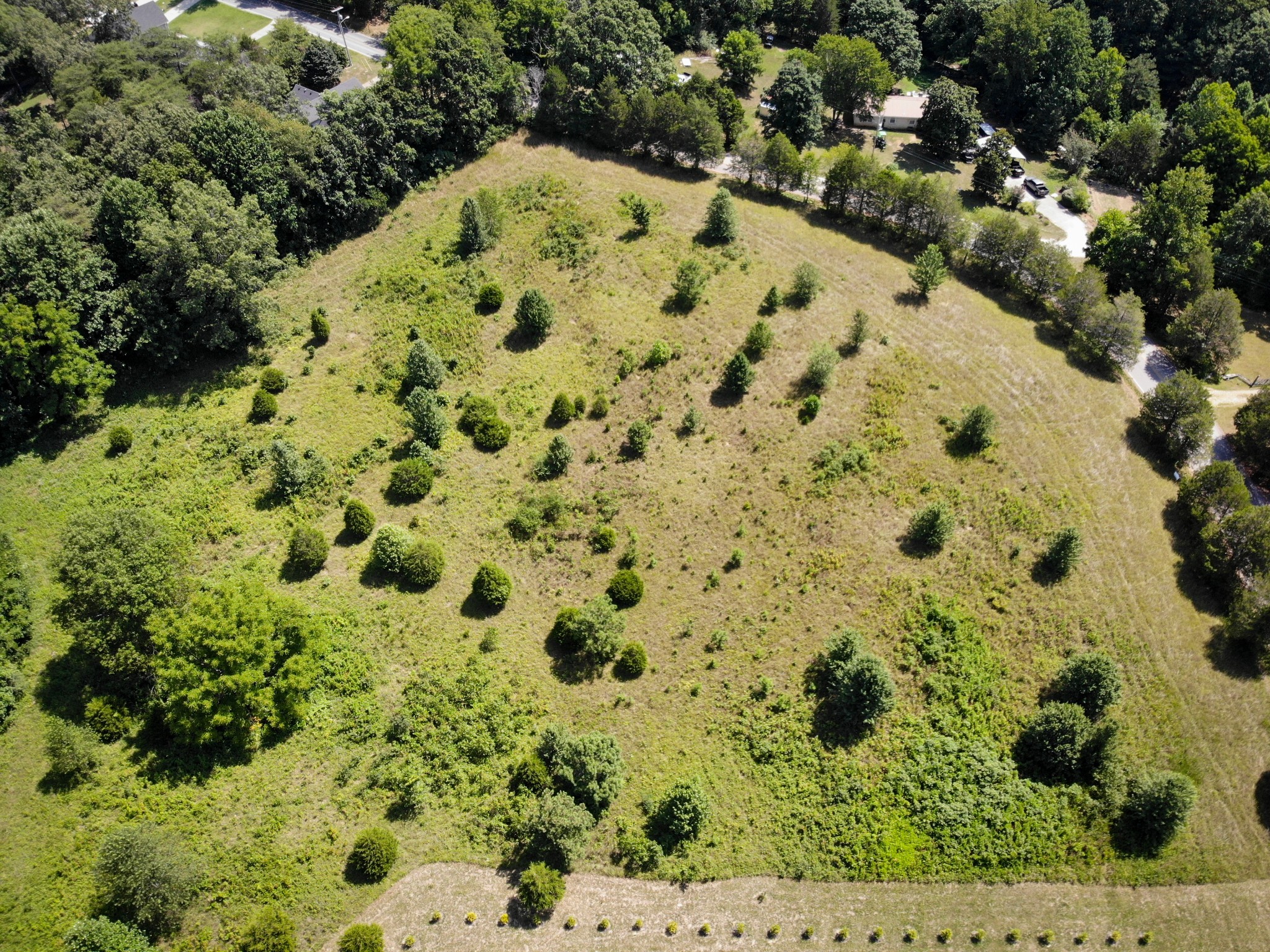 a view of a yard of a house