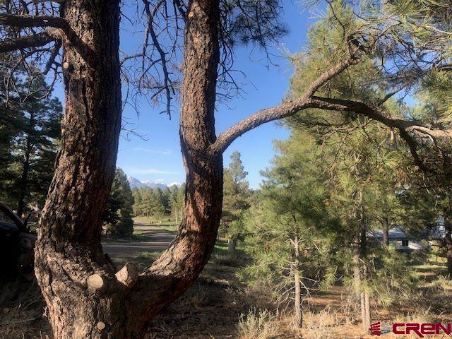 a view of a tree in the middle of a house