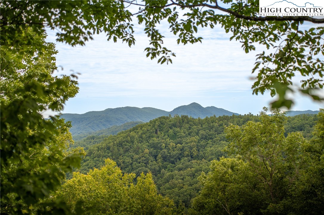 a view of a mountain with a tree in front of it