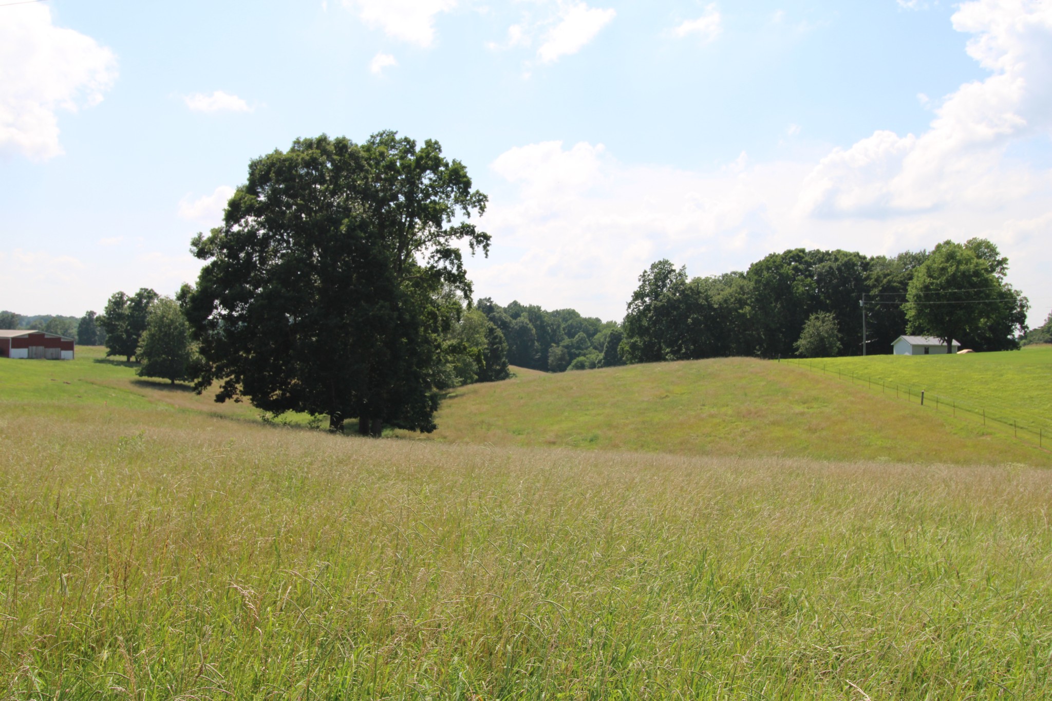 a view of a field with an ocean view