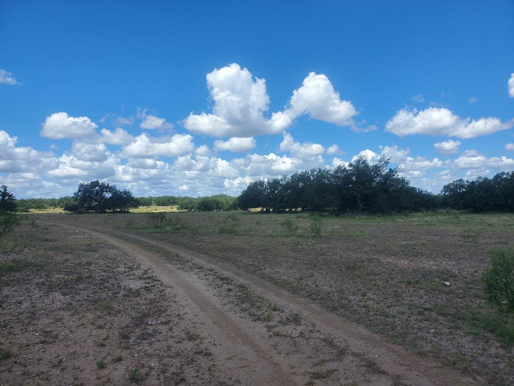 a view of a big yard