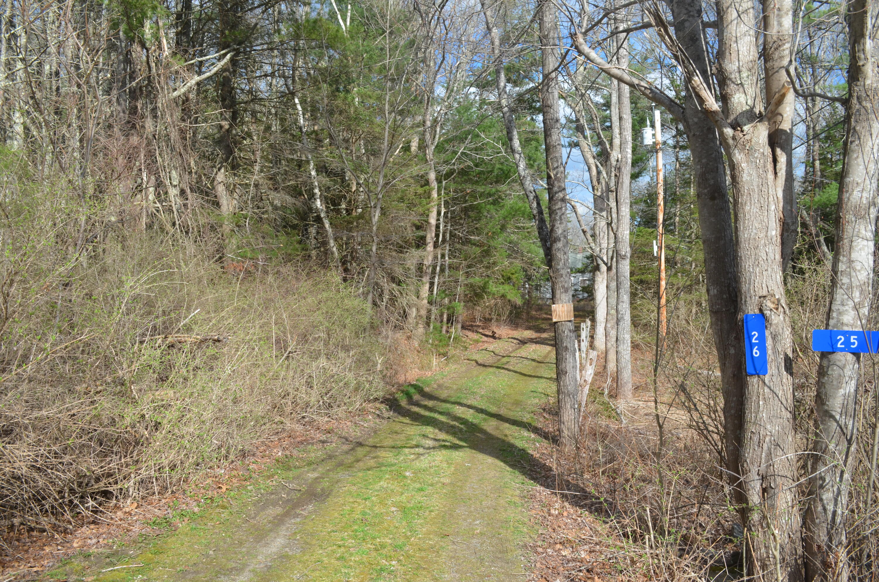 Entry Driveway