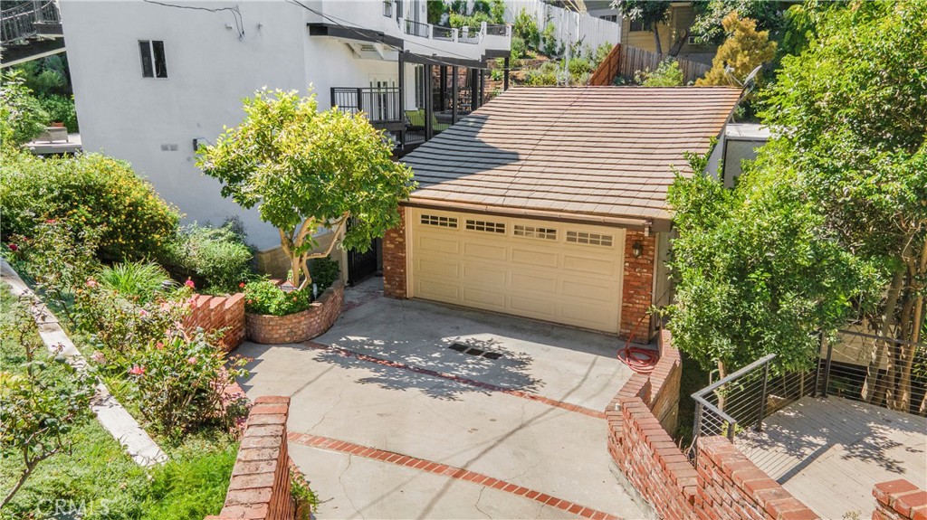 a view of a backyard with plants and large trees