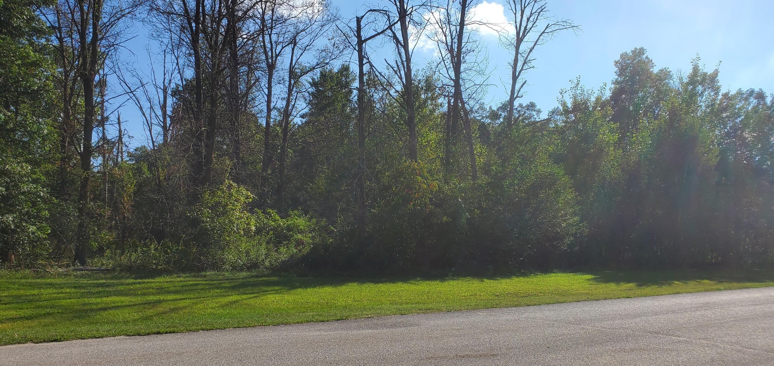 a view of a yard and basketball court