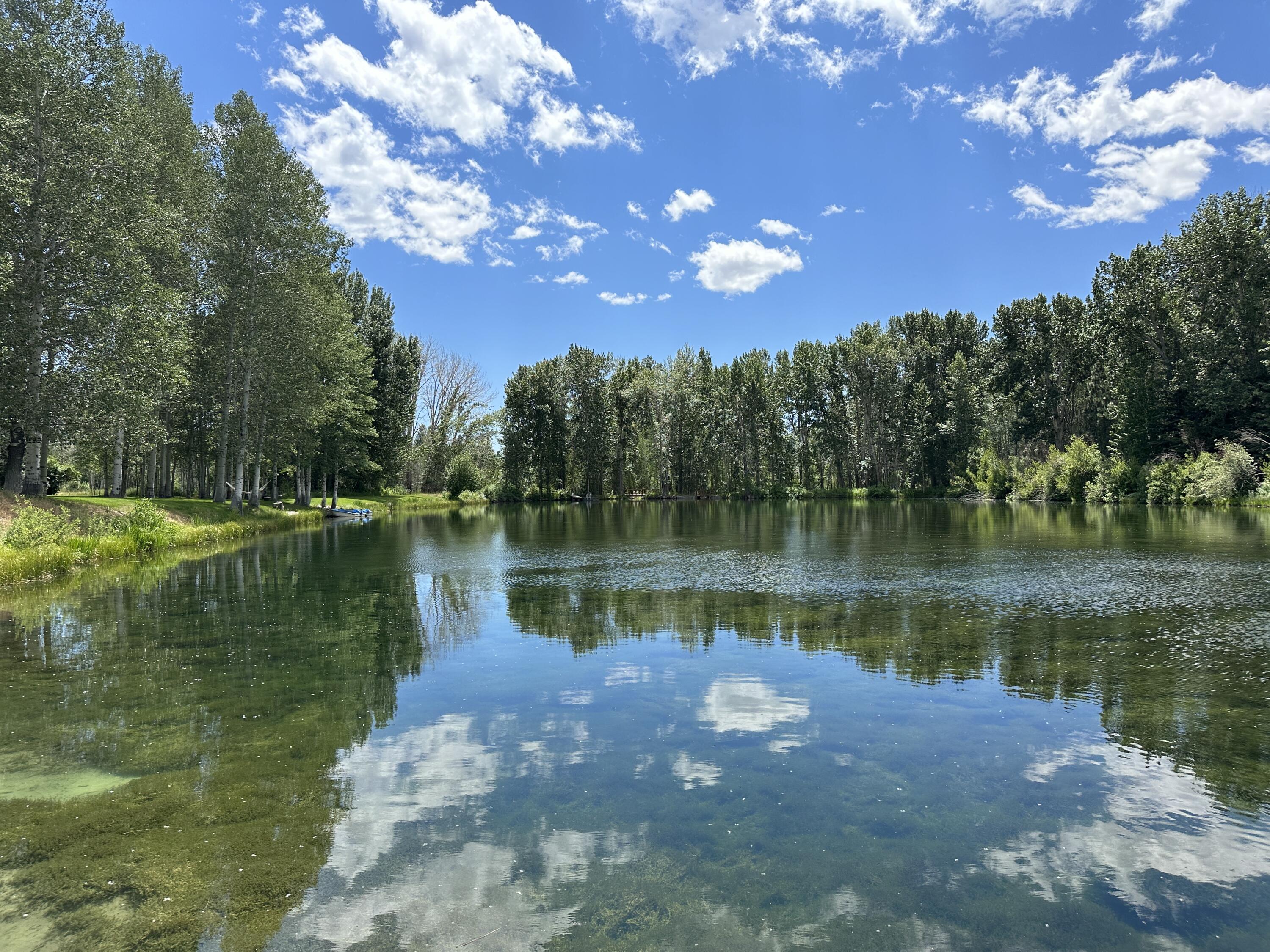 Views south over the lake