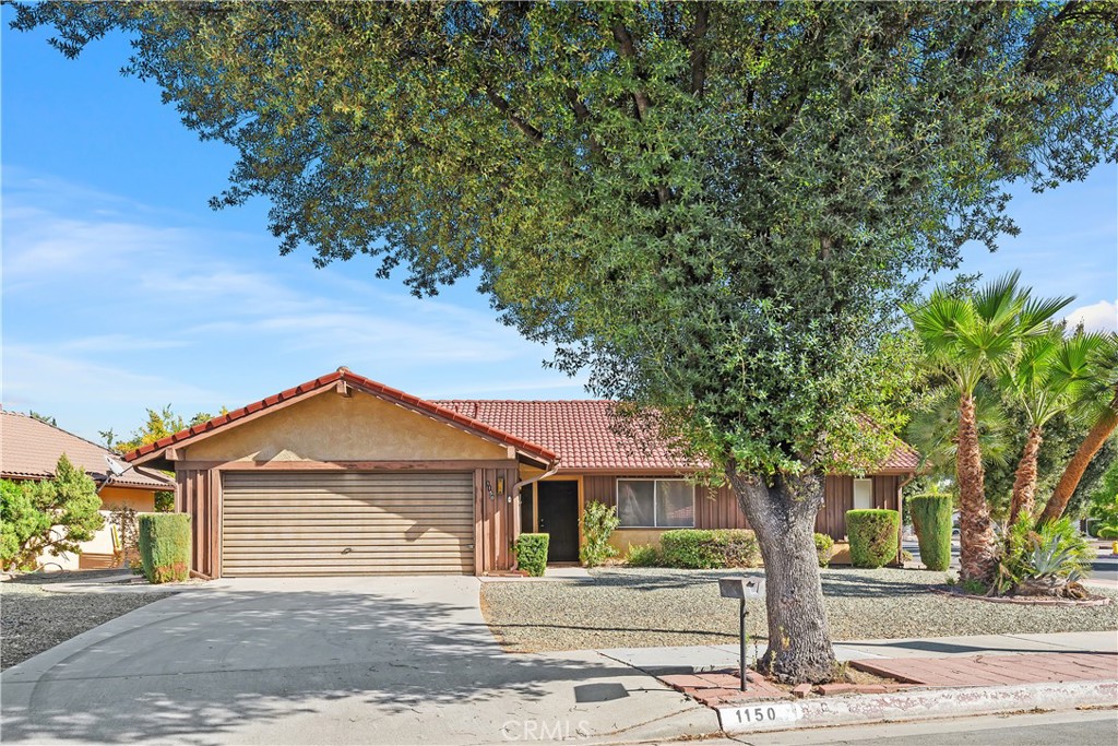 front view of a house with a tree