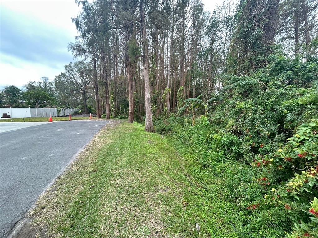 a view of a street with a bench and trees