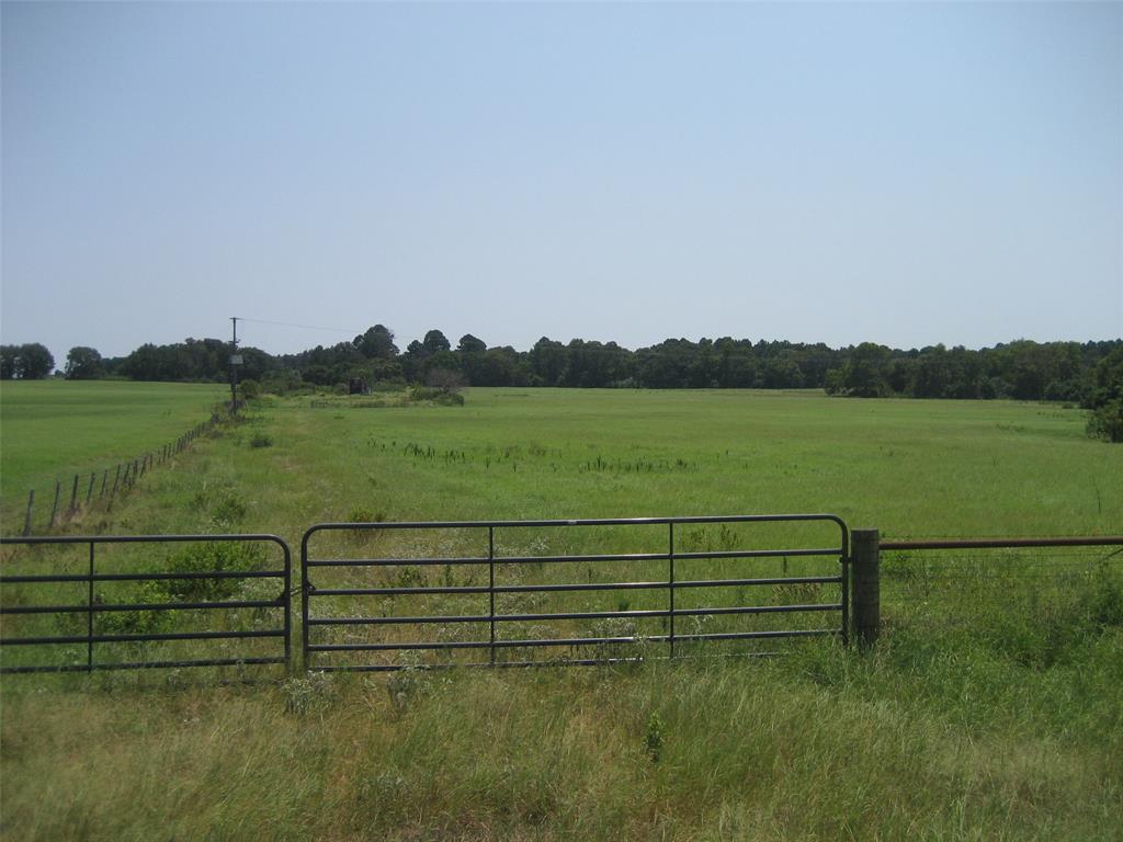 a view of a bench in a field