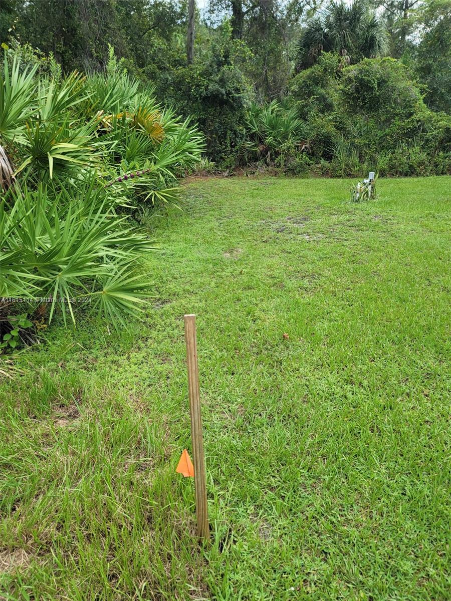 a view of a garden