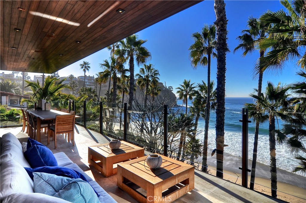 a view of a patio with couches and a potted plant