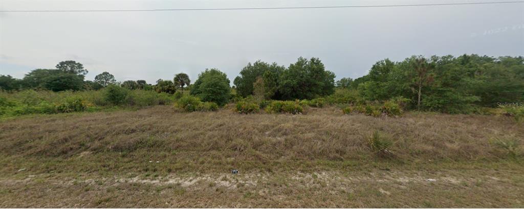 a view of a field of grass and trees