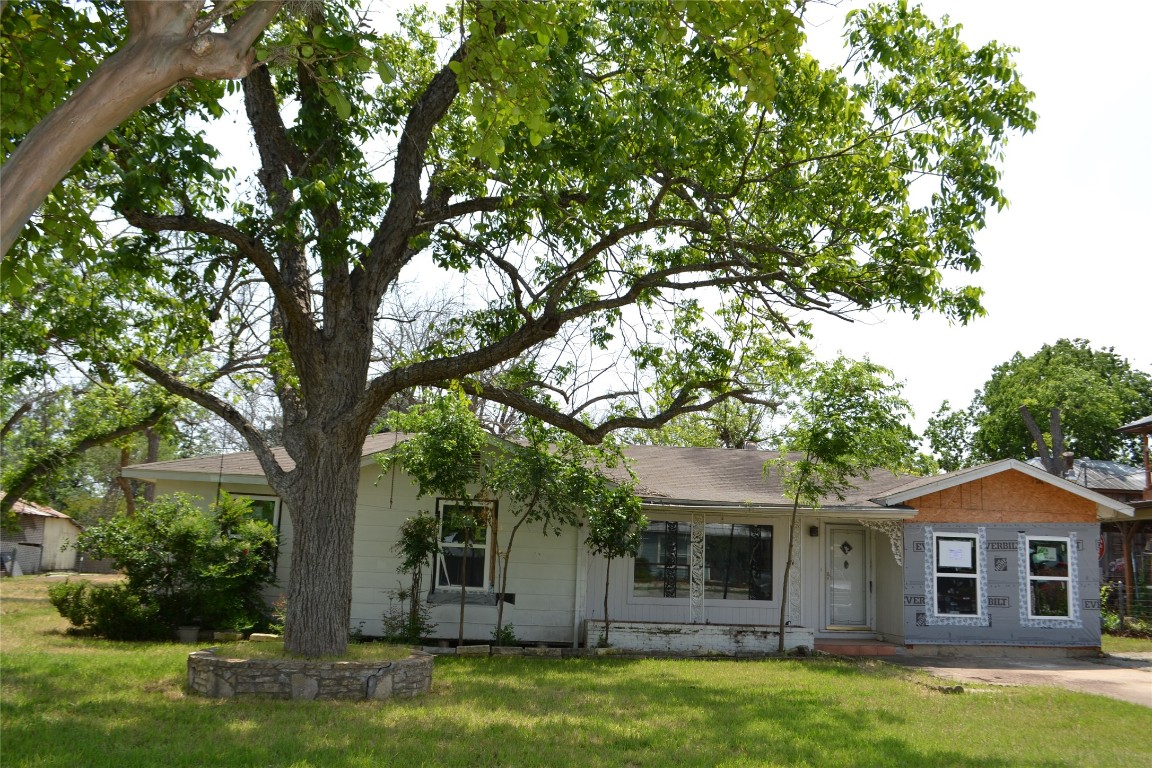 front view of a house with a tree in a yard