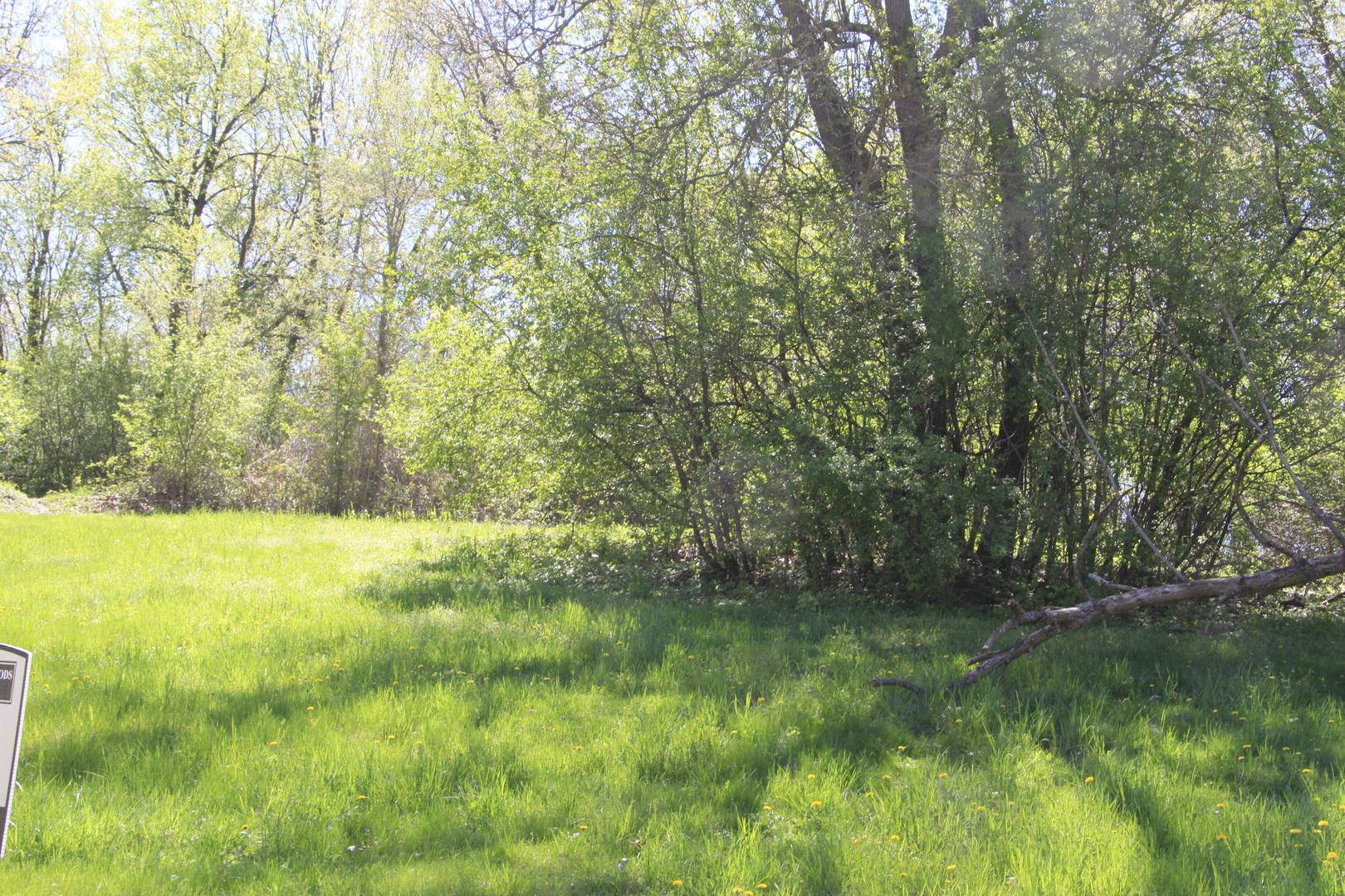 a view of outdoor space and yard