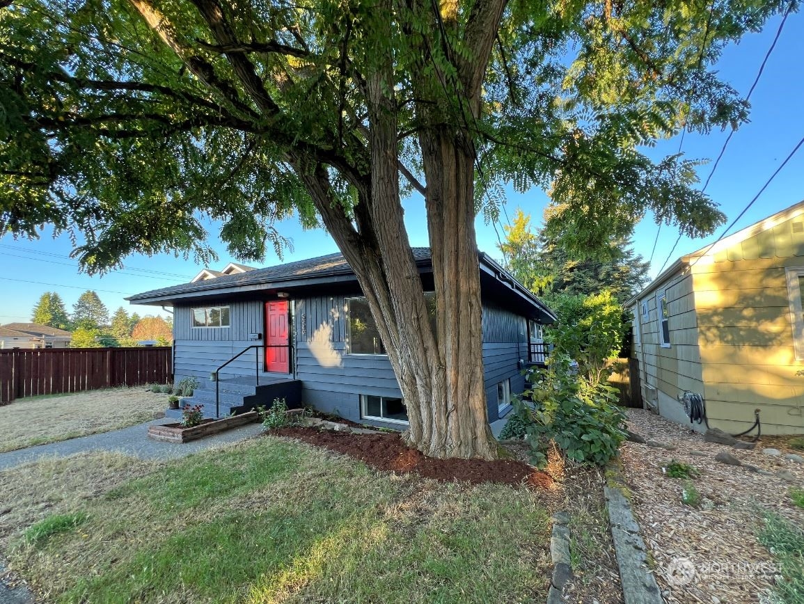 a view of a house with a small yard and a large tree