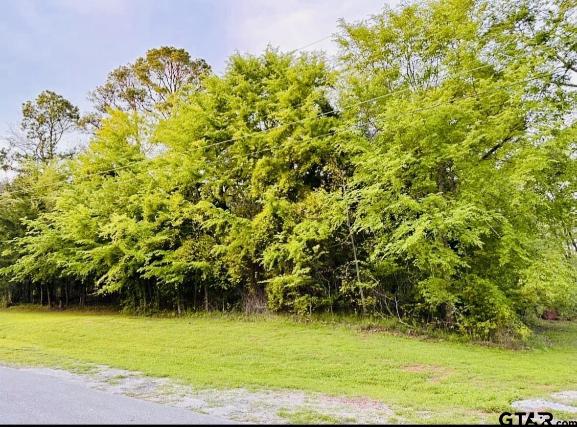 a view of a yard with a tree