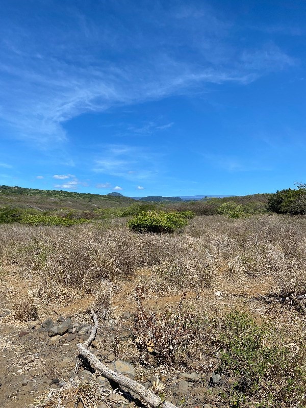 a view of an ocean beach