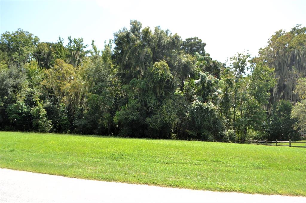 a view of grassy field with trees