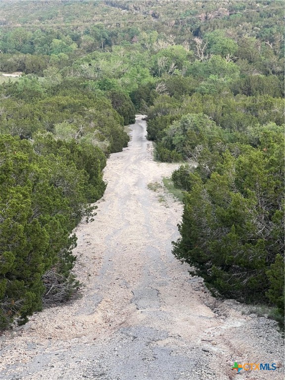 a view of a dirt pathway both side of yard