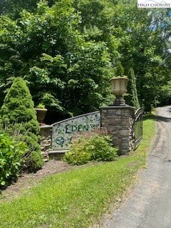 a view of a garden with plants