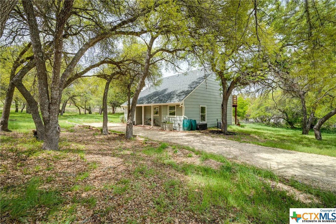 a view of a yard with plants and trees