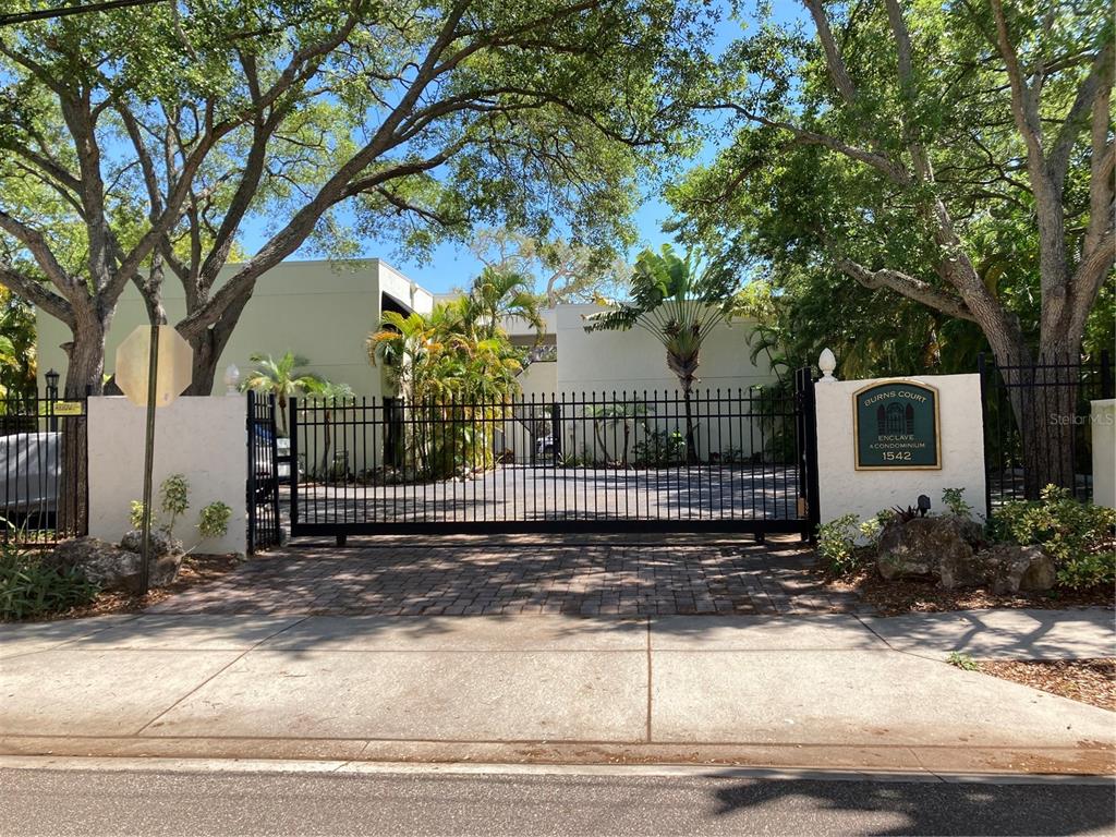 a view of a house with a yard tree s