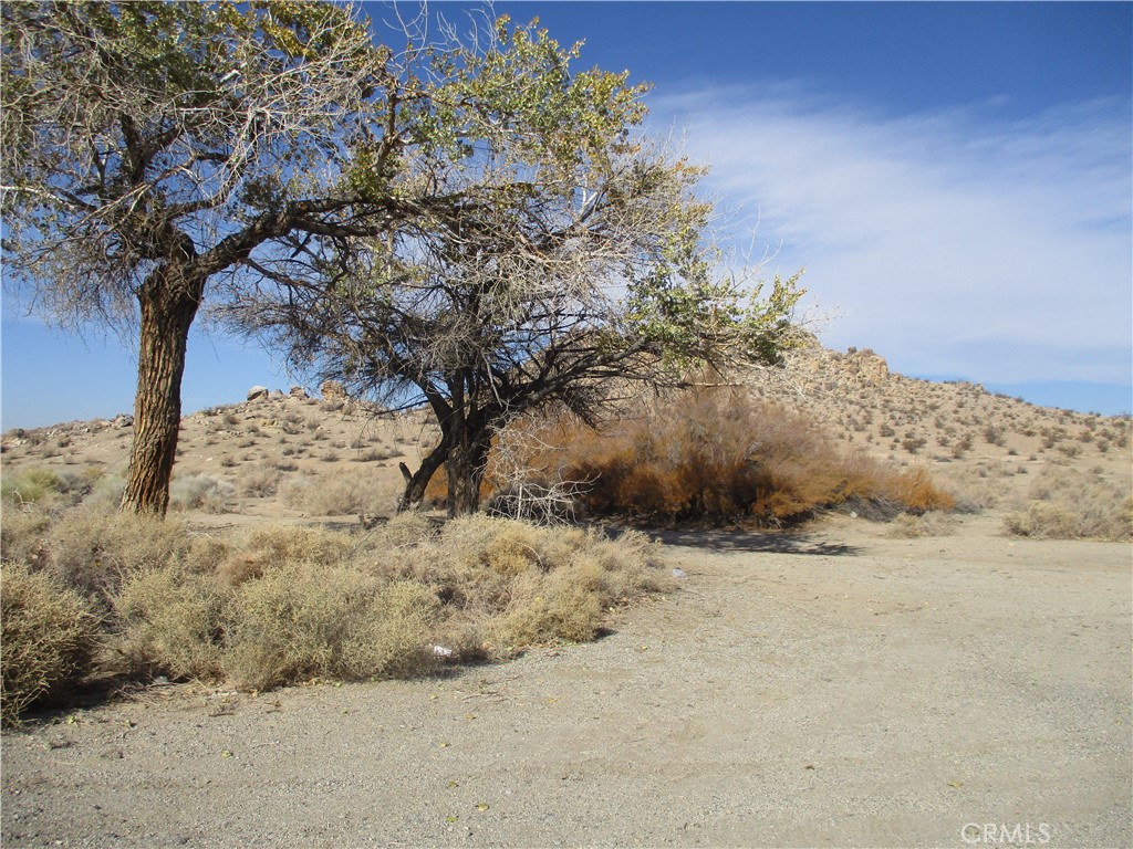 a view of a dry yard covered with snow in middle