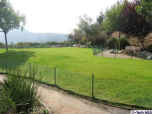 a view of a garden with an outdoor space