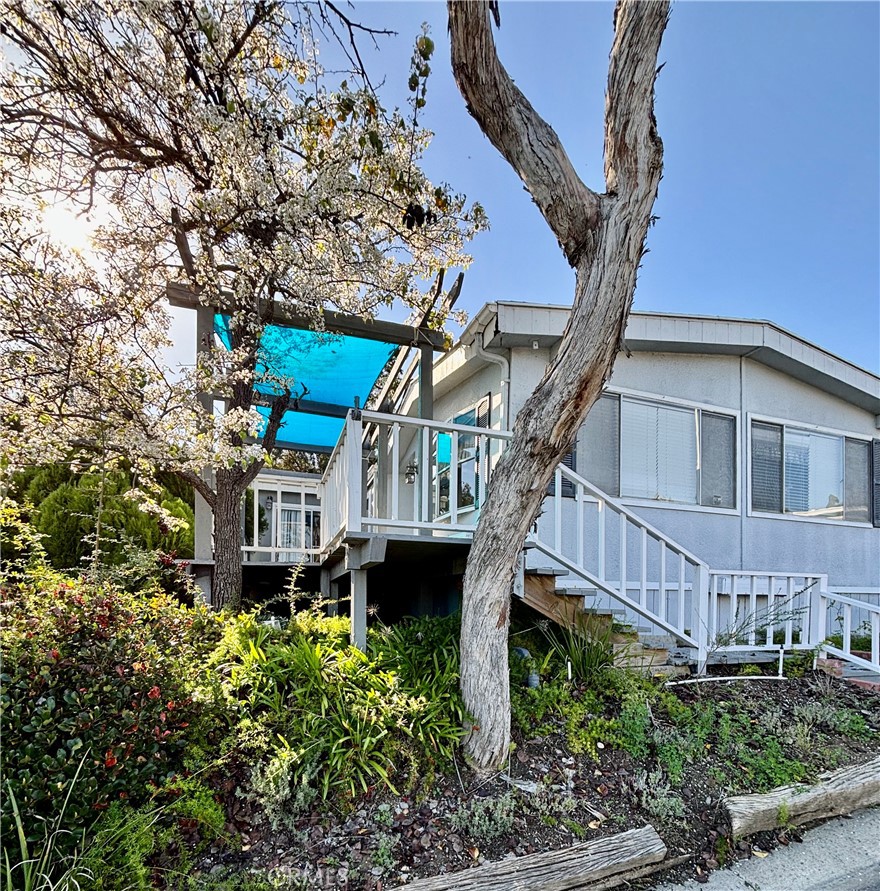 a view of a house with large windows and a tree