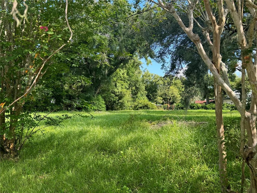 a view of yard with green space