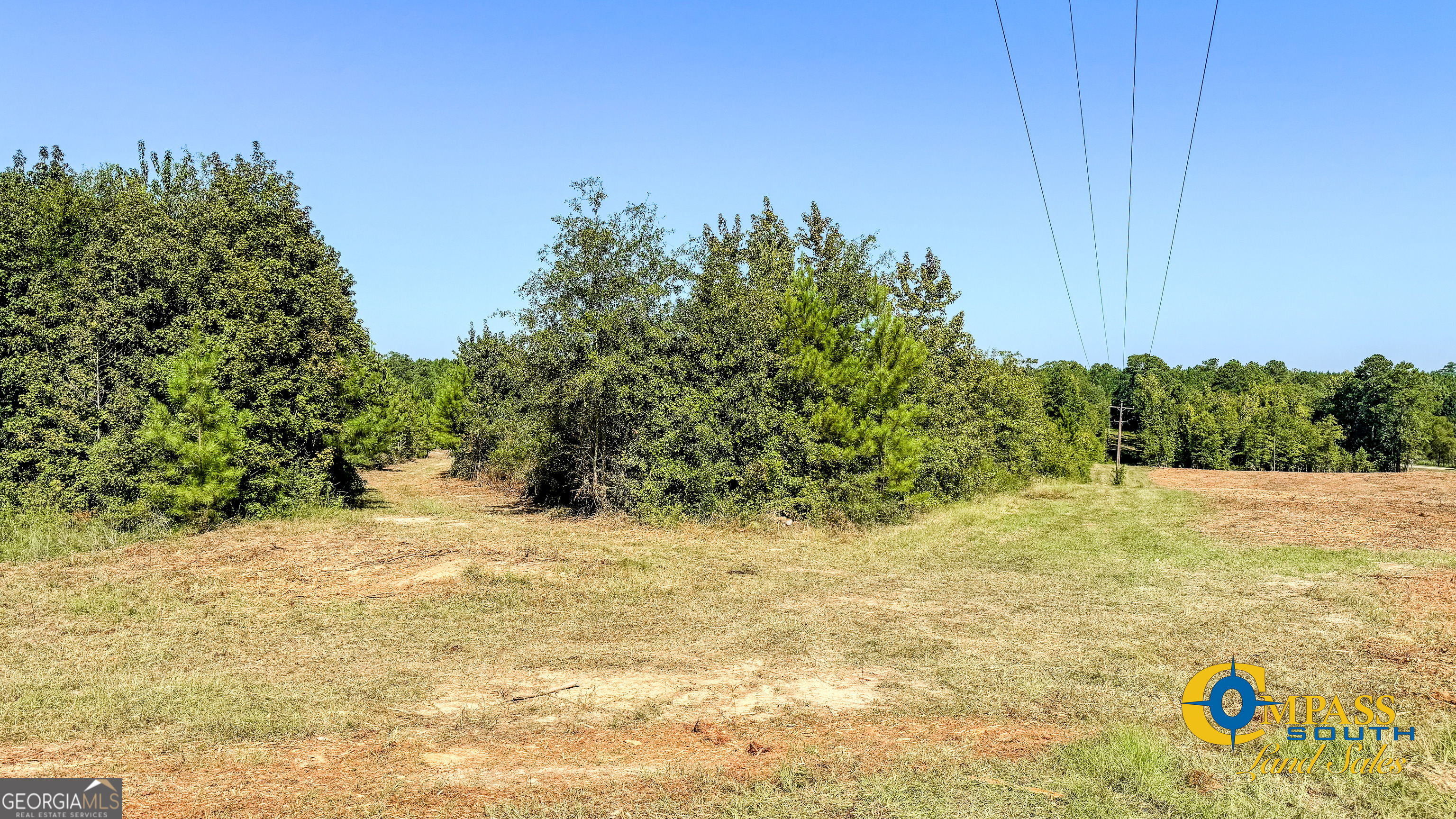 a view of a yard with a tree