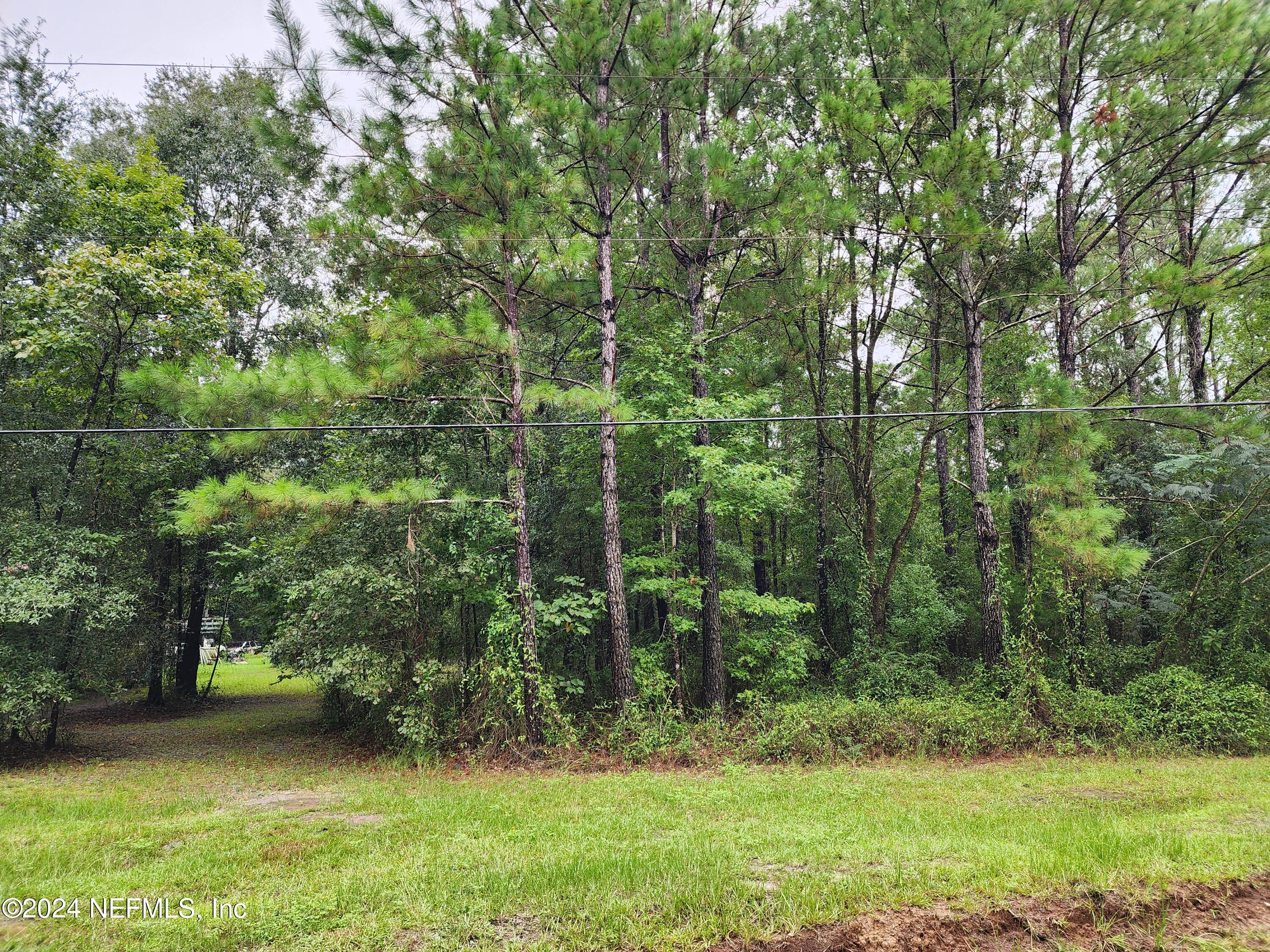 a view of a trees in a yard