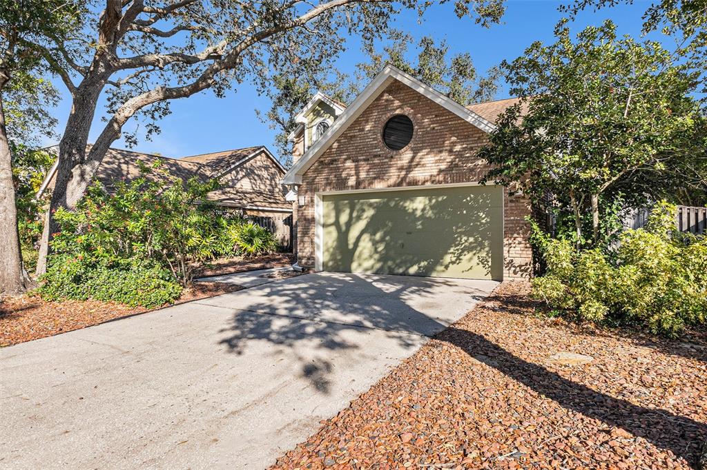 Driveway View