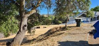 a view of a yard with large trees