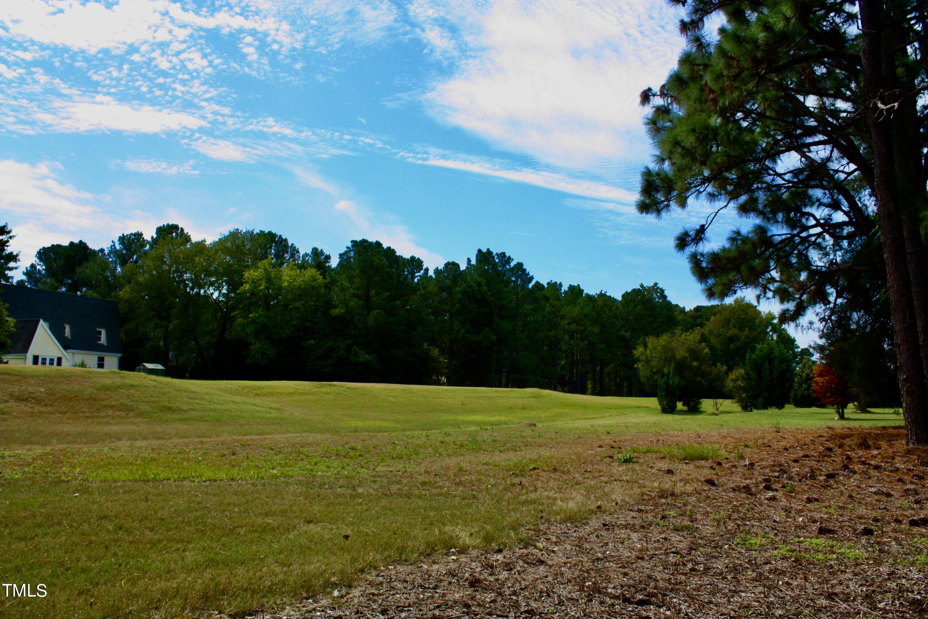 a view of a field with an trees