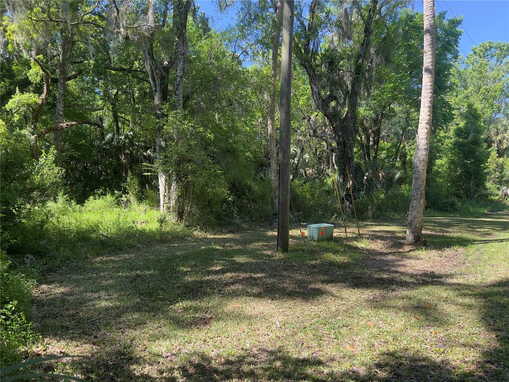 a backyard of a house with trees